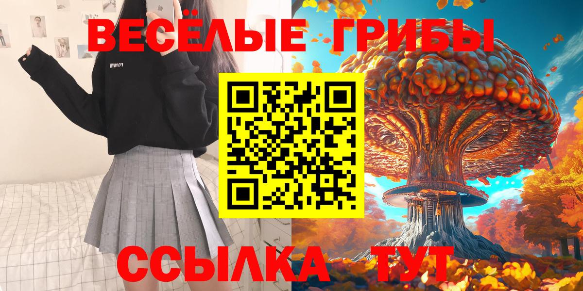 Курск  Псилоцибиновые грибы MAGIC MUSHROOMS  Вход с VPN  Галлюциногенные грибы прущие грибы 