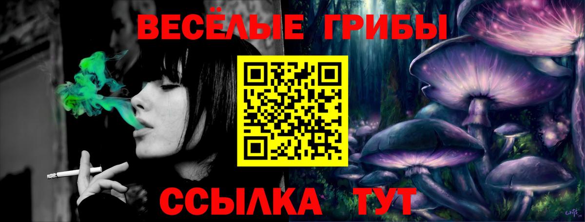 Псилоцибиновые грибы ЛСД Курск